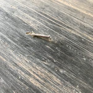 Nail in flexitank container